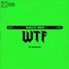 About WTF (feat. Ravetek) Song