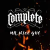 About Mr Nice Guy Song