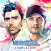 About Voices (feat. TZAR) Song