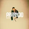 About Paranoid Song