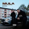 About MULA Song