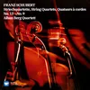 String Quartet No. 13 in A Minor, Op. 29, D. 804 "Rosamunde": II. Andante