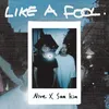 About Like A Fool Song