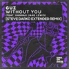 About Without You (feat. Hannah Jane Lewis) Steve Darko Extended Remix Song