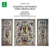 Haydn, M: Horn Concerto in D Major, P. 134: II. Allegro non troppo