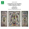 Haydn, M: Concerto for Organ and Viola in C Major, P. 55: I. Allegro moderato