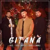 About Gitana (feat. Sergio Contreras y Demarco Flamenco) Song