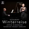 Schubert: Winterreise, Op. 89, D. 911: No. 2, Die Wetterfahne