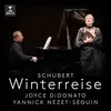 About Schubert: Winterreise, Op. 89, D. 911: No. 10, Rast Song