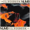 Numb Elderbrook VIP