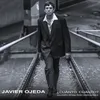 About ¿Cuánto, cuánto? Alejandro Seoane Remix Danza Invisible Song