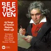 About Beethoven: 29 Songs of Various Nations, WoO 158: No. 13, Vo lesochke komarochkov Song