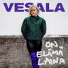 On elämä laina (Vain elämää kausi 10)