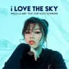 About I Love The Sky (feat. Kurt Hugo Schneider) Song