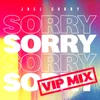 About Sorry (VIP Mix) Song