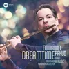 Flute Concerto: I. Andante