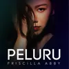 About Peluru Song