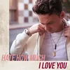 About Hate How Much I Love You Song