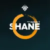 About Shane (feat. Paperi T) Song