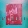 About Habibi Song