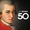 Symphony No. 25 in G Minor, K. 183: I. Allegro con brio (Excerpt)