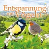 Vogelkinder in den Zweigen