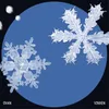 Snowflake Instrumental