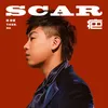 About SCAR Song