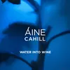 About Water Into Wine Song