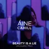 About Beauty Is a Lie Acoustic Mix Song