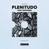 About Plenitudo (feat. Mayenne) Song