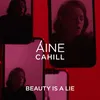 About Beauty Is a Lie Song