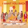 About I WANT YOU BACK Song