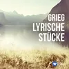 About Grieg: Lyric Pieces, Book IV, Op. 47, No. 4: Norwegian dance Song