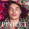 About Puolet Song