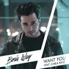 About Want You (feat. Carla Katz) Song