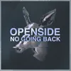 About No Going Back Song