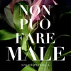 Non può fare male Single version