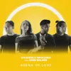 Arena Of Love (feat. Amin Salmee)