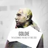 About The Calling (Goldie Remix) Song