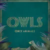 About Only Animals (feat. Allyson Ezell) Song