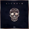 About Sicario Song