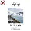 About Iceland (feat. Gavrielle) Song