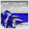 What You Want (feat. Nicole Gartz) Mulshine Remix