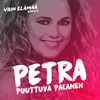 About Puuttuva palanen (Vain elämää kausi 6) Song