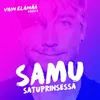 About Satuprinsessa (Vain elämää kausi 6) Song