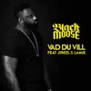 About Vad du vill feat. Jireel & Lamix Song