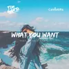 What You Want (feat. Nicole Gartz)