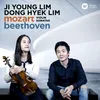 Mozart: Violin Sonata No. 26 in B-Flat Major, K. 378: I. Allegro moderato