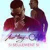 About Si seulement si (feat. OMI) Song